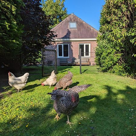 Boutique B&B Villa Van Voss Etten-Leur Buitenkant foto