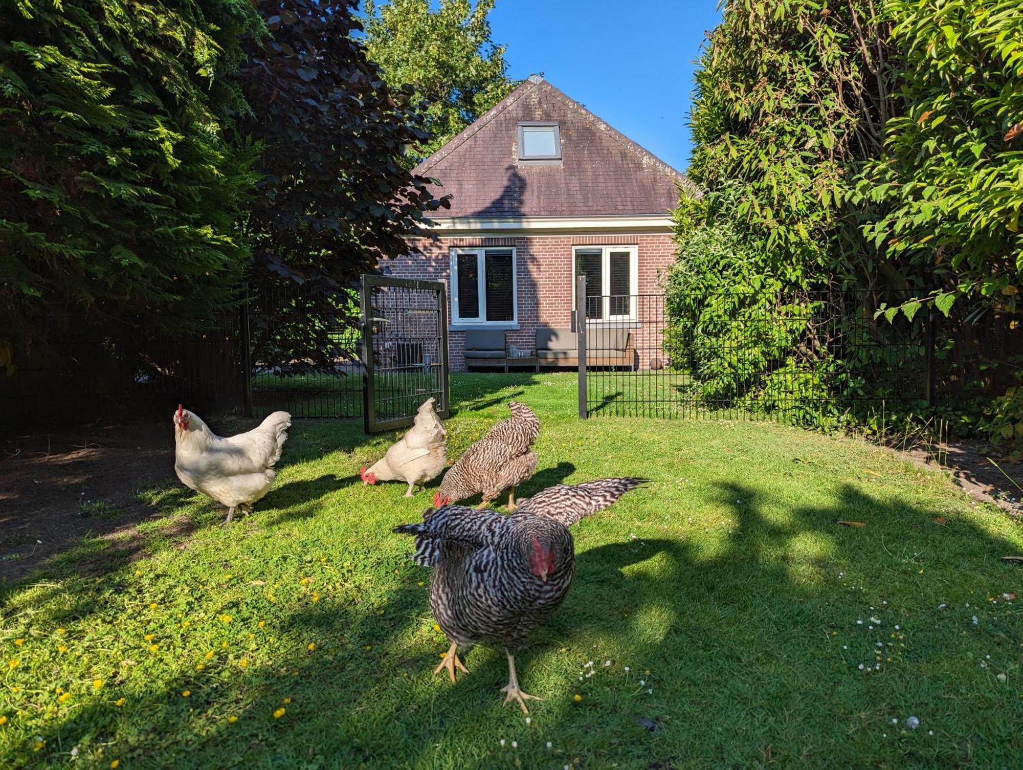 Boutique B&B Villa Van Voss Etten-Leur Buitenkant foto